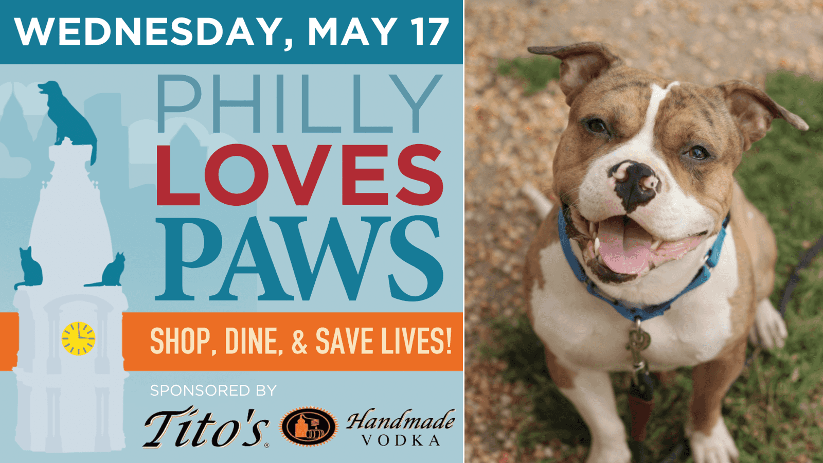 Philly Loves PAWS 2023: Shop Eyewear, Save Lives featured image